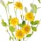 Yellow Daisy Pick by Ashland&#xAE;
